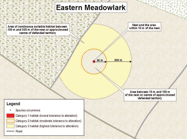 The figure shows a sample application of the general habitat protection for Eastern Meadowlark. The figure shows a single Eastern Meadowlark nest and the area surrounding it. A portion of the area surrounding the nest is divided into category one, category two and category three habitat. Category one habitat has the lowest tolerance to alteration, category two habitat has moderate tolerance to alteration and category three habitat has the highest tolerance to alteration. Category one habitat is identified as the nest and the area within a ten metre radius surrounding it. The category two habitat is identified as the area between 10 metres and 100 metres of the nest (or centre of the approximated defended territory). The category three habitat is identified as the area of continuous suitable habitat between 100 metres and 300 metres of the nest (or centre of approximated defended territory).