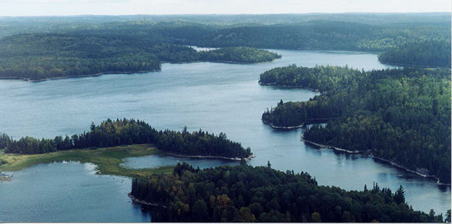 This photo shows an Aerial view of the wetlands and typical forest cover along Mozhabong Lake.