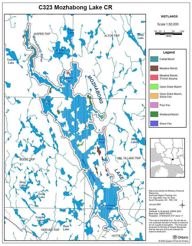 This map shows detailed information about the Wetlands within Mozhabong Lake Conservation Reserve.