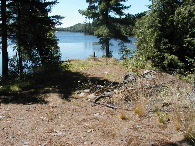 Photo of campsite located on the northern shore of Mudcat Lake within Mudcat Lake Forest Conservation Reserve