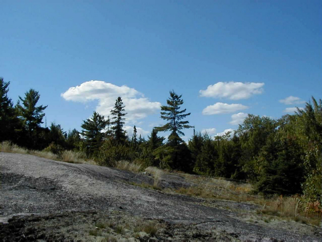 Photo showing the exposed bedrock in Mudcat Lake Forest Conservation Reserve