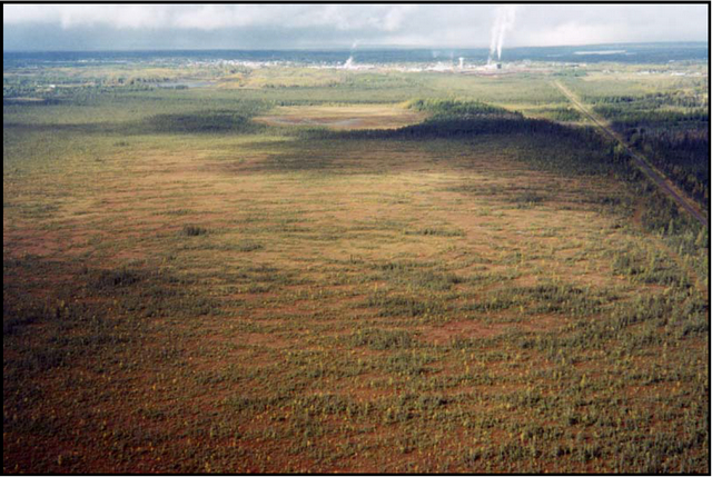 Photo of Nahma Bog with the Town of Cochrane in the background and a raised bog in the top center of the photo.
