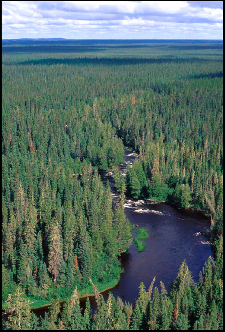 Aerial photo of the Jackpine Rapids on the Drowning River