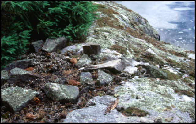 Photo showing the remains of a campfire on a rock outcrop at the north-end of Medugama Bay