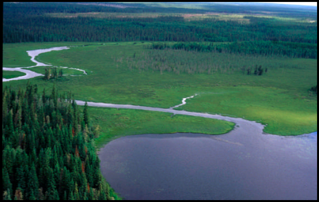 Aerial photo of a wetland at the junction of Poverty Creek and the Drowning River