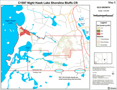 Map showing the Old Growth tree stands Night Hawk Lake Shorelines Bluffs Conservation Reserve