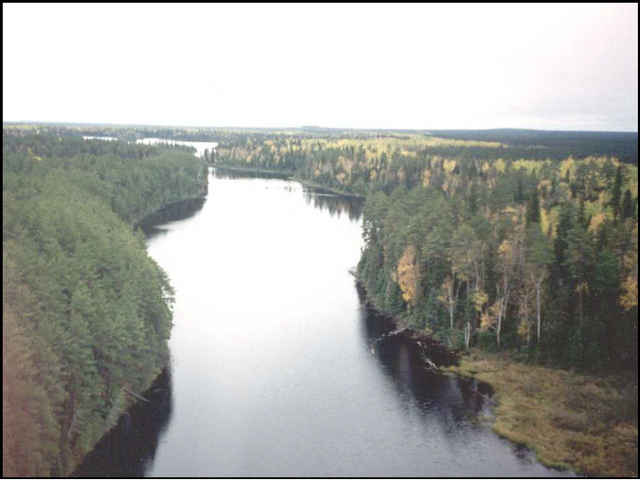 Photo showing an aerial view of Laidlaw Lake