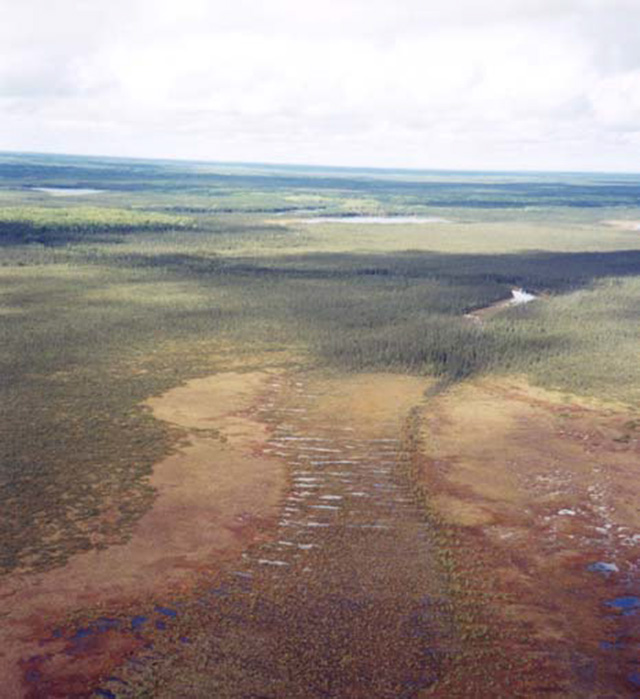 This is figure 7: Open bog with areas of semi-treed and string bog