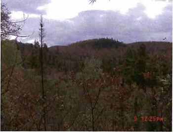 This photo shows Western Section. View across valley of hillsides dominated by mixed hardwoods with conifer pockets of White Pine and White Spruce.