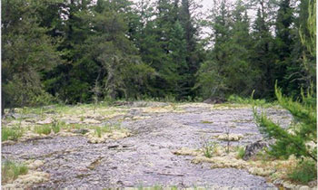 This photo shows Exposed bedrock in the western portion of the reserve.
