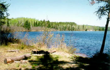 This photo shows Campsite on the south shore of Fifth Lake.