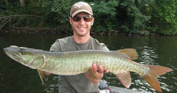 colour photo of a muskellunge.