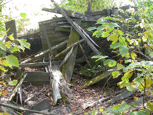This photo shows Evidence of an old logging camp on the shore of Onaping Lake.