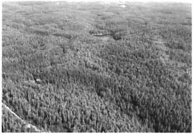 This is figure 1 photo displaying an aerial view of entire conservation reserve looking east. Hughson Township Lake No.1 (shown) defines a portion of the eastern boundary.