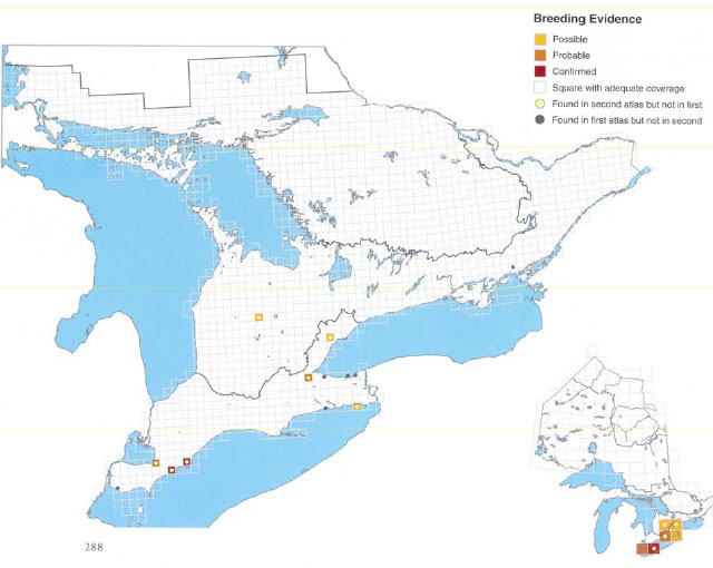 black and white map of Southern Ontario depicts breeding evidence in yellow for possible, orange for probable, and red for confimed.