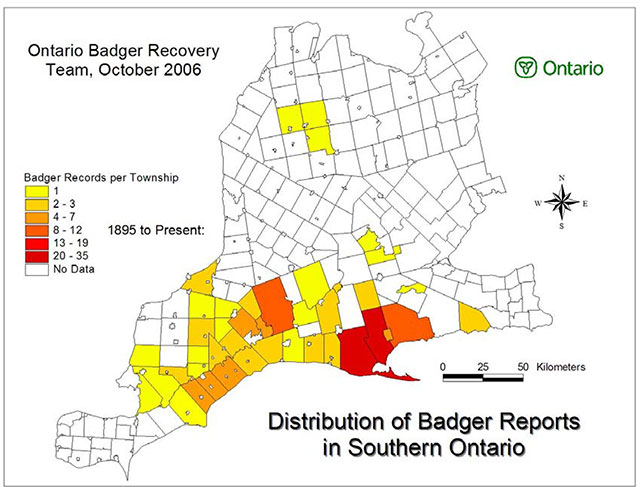 map of Ontario represents the distribution of badger reports in Ontario using a colour scale form yellow for 1 up to red for 20-35. Areas where no data exists are in white.