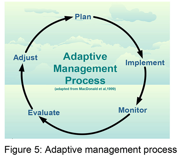 Figure 5: Adaptive management process
