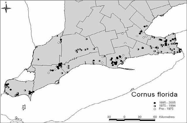 Greyscale map of Southern Ontario. Depicts the native distribution of the Eastern Flowering Dogwood between pre 1975 up to 2005.