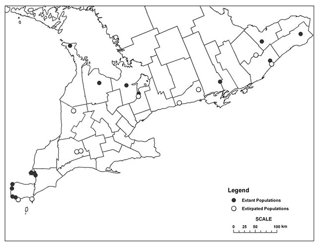 Black and white map of distribution of the Eastern Prairie Fringed-orchid in Southern Ontario showing ten white circles that indicate extirpated populations in the region and fifteen black dots that indicate extant populations in the region.