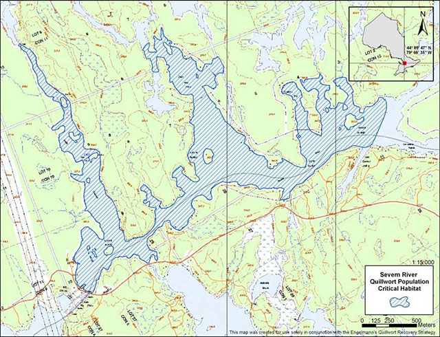 Colour map of Ontario. Critical habitat is only identified on provincial crown lands and federal lands; no private lands are involved. Legend shows that blue striped areas represent the critical habitat of the Severn River Quillwort population. The map has a 500 metre scale.