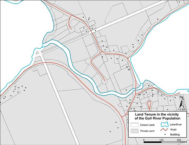Line map of current land tenure and existing habitat protection at the Gull River site. Legend states that white areas represent crown land, grey areas represent private land, blue outlines represent a lake or river, red lines represent roads, and black circles represent buildings. The majority of land is private land. The map has a 250 metre scale.