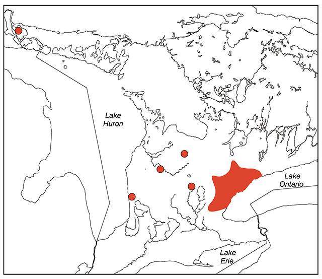 figure 1 map depicting the distribution of Redside Dace in Ontario.