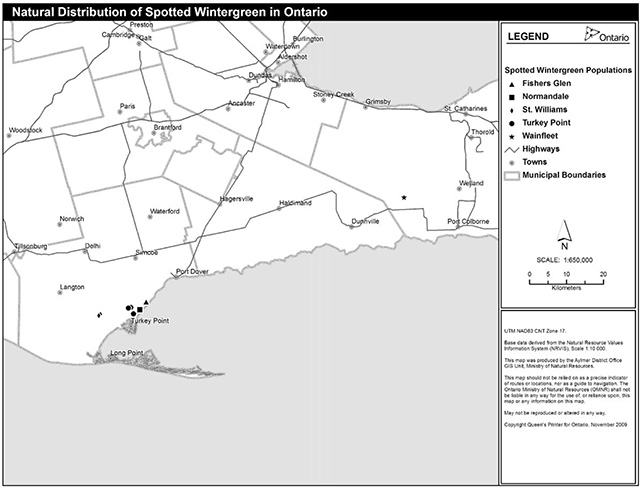 This is figure 2 map depicting the current distribution of Spotted Wintergreen in Ontario