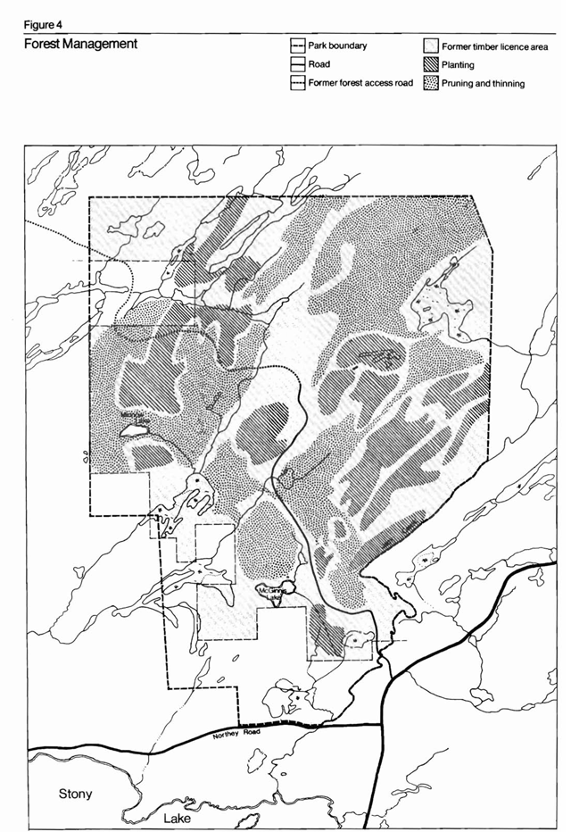 A map of forest management areas in Petroglyphs Provincial Park