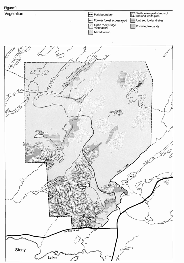 A vegetation map of Petroglyphs Provincial Park