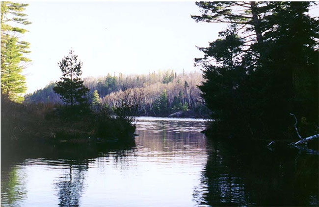 This photo shows Entrance to channel to Stonedam Lake from Pipestone Lake