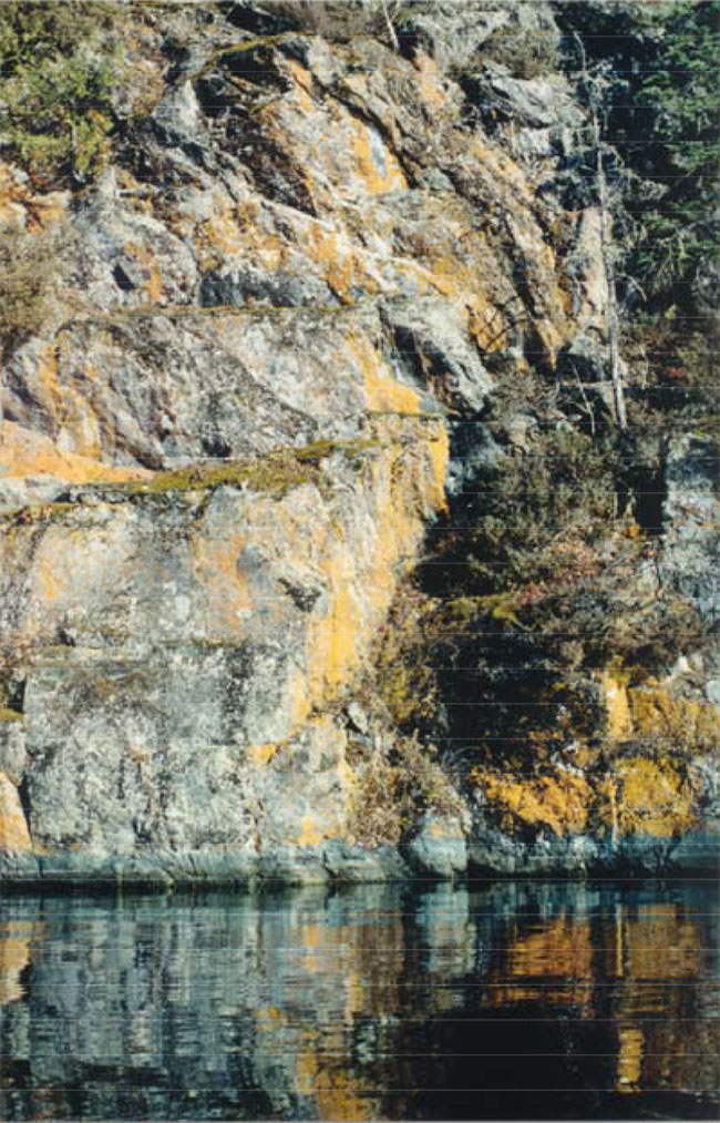 This photo shows Steep bedrock cliff on west shore of Pipestone Lake.