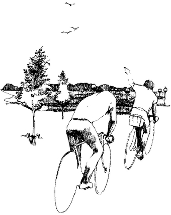 Hand drawn illsutration of two men riding bicycles pointing at birds flying overhead.