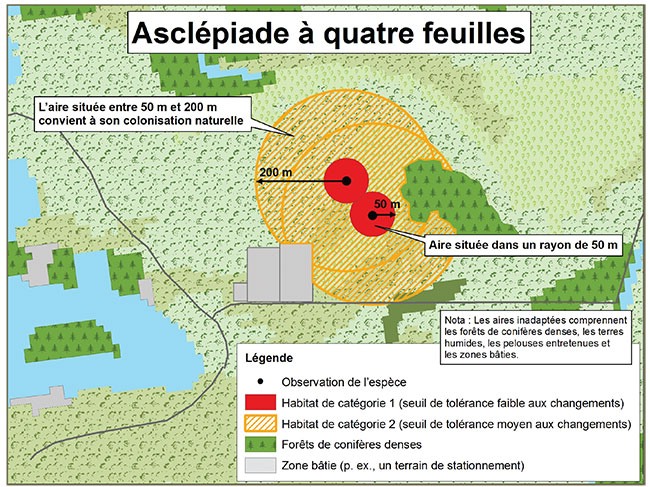 Diagramme servant d’exemple d’application du règlement sur l’habitation de l’asclépiade à quatre feuilles. Il illustre la catégorisation d’habitat décrite dans ce document.