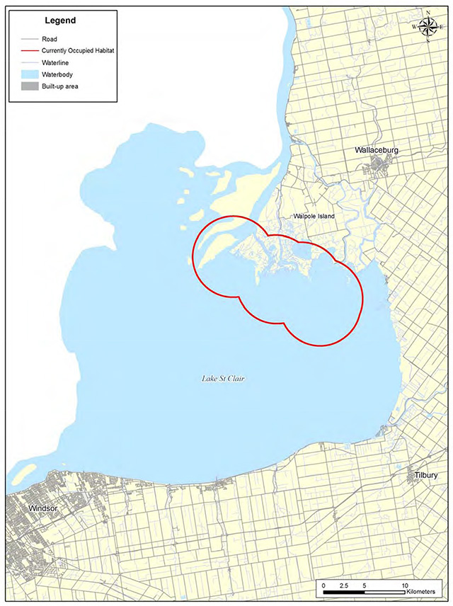 This is figure 10 displaying the current occupied habitat zone of the Kidneyshell in the Lake St Clair delta