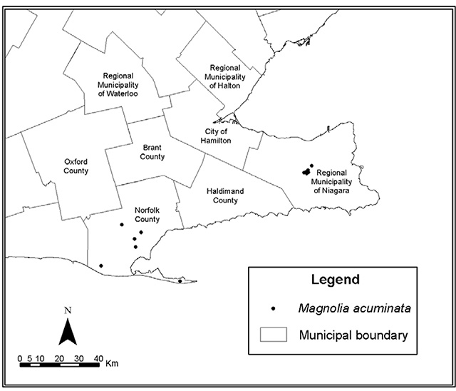 This is figure 2 map depicting the natural distribution of Magnolia acuminata L. in Canada