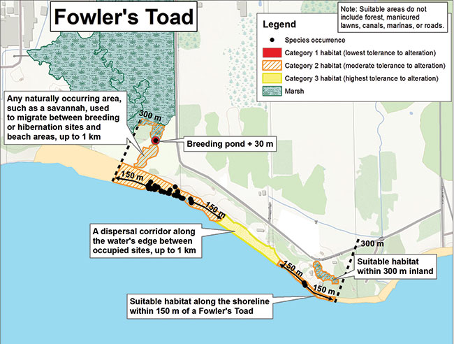 Diagram illustrating a sample application of the habitat regulation for Fowler’s Toad, depicting the habitat categorization described in this document.