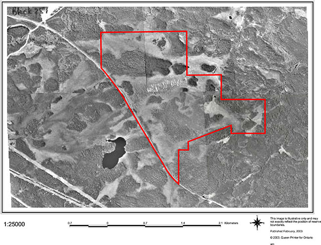 This photo shows detailed information about Pyatt Lake Conservation Reserve-Aerial Photo Image.