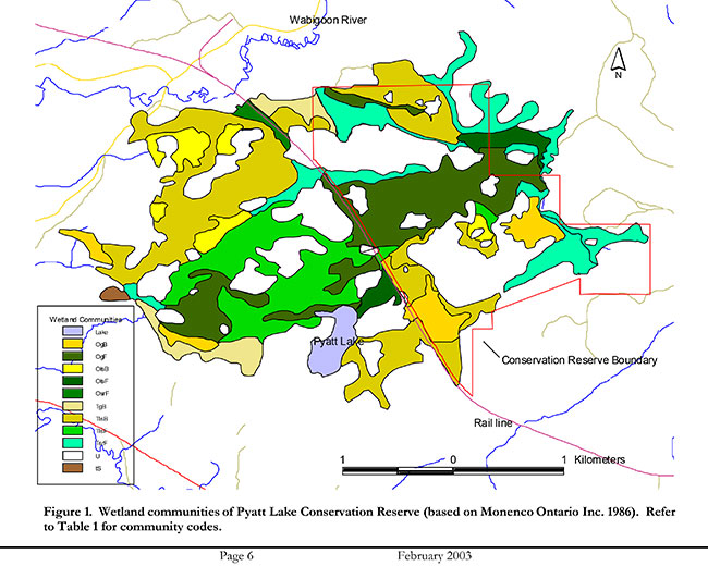 This map provides detailed information aboutWetland communities of Pyatt Lake Conservation Reserve (based on Monenco Ontario Inc. 1986). Refer to Table 1 for community codes.