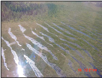 This photo shows Aerial view of the string fen within the reserve.