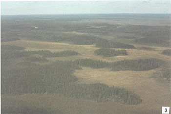 This photo shows View to the west over Pyatt Conservation CPR line at upper left, stations 1 and 2 at far left centre. A string bog is located between the tracks and stations 1 and 2.