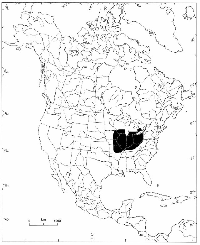 greyscale map of North America depicts the global distribution of the Mudpuppy Mussel.