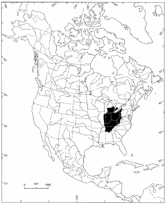 black and white line map of North America depicting the global distribution of the Rayed Bean.