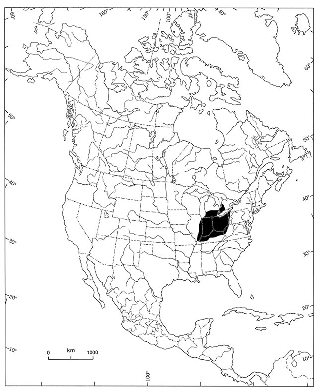 greyscale map of North America. Black shaded area depict the global distribution of the northern Riffleshell.
