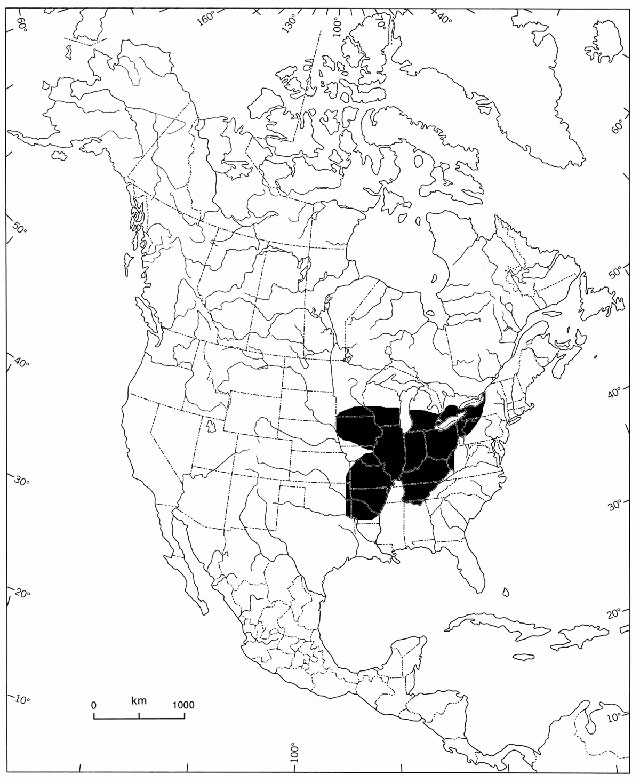 black and white line map depicts global distribution of the Round Pigtoe.