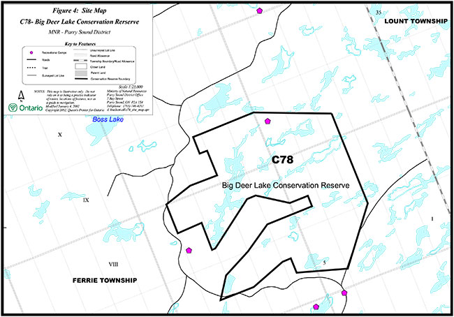 This site map illustrates key features of Raganooter Lake Conservation Reserve C78 including recreation camps, roads, trails, surveyed lot lines, unsurveyed lot lines, road allowance, township boundary, crown land, patent land and the conservation reserve boundary.
