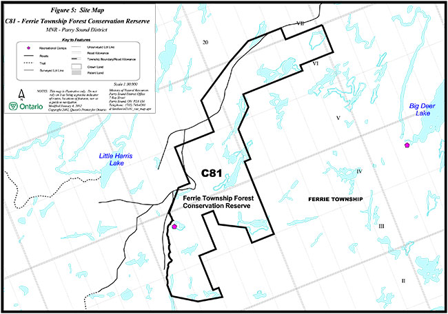 This site map illustrates key features of Raganooter Lake Conservation Reserve C81 including recreation camps, roads, trails, surveyed lot lines, unsurveyed lot lines, road allowance, township boundary, crown land, patent land and the conservation reserve boundary.