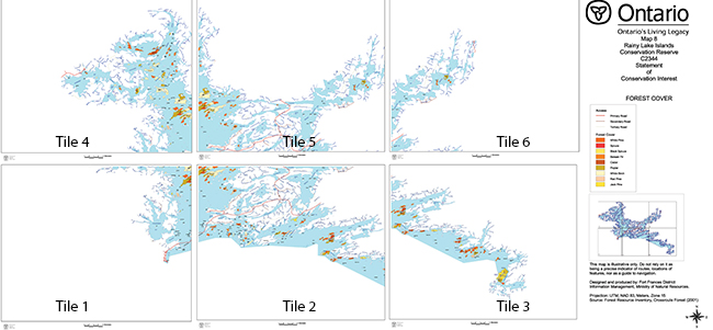 This series of maps (tiles 1-6) depicts access via  primary, secondary and tertiary roads as well as  forest cover features for Rainy Lake Islands Conservation Reserve.