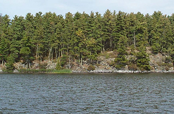 This is a shoreline view of Noon Island