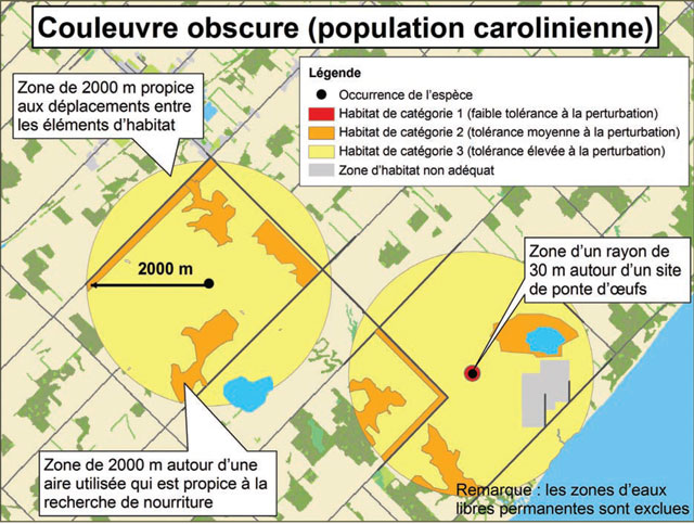 Diagramme servant d’exemple d’application du règlement sur l’habitation de la couleuvre obscure - population de la zone carolinienne. Il illustre la catégorisation d’habitat décrite dans ce document.