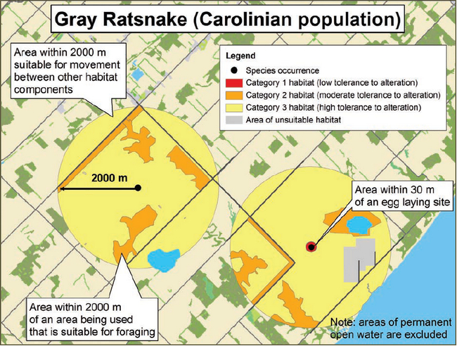 Diagram illustrating a sample application of the habitat regulation for Gray Ratsnake (Carolinian population), depicting the habitat categorization described in this document.